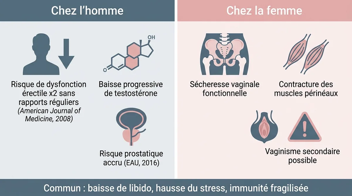 Infographie effets physiques 4 ans sans rapport chez l'homme et la femme