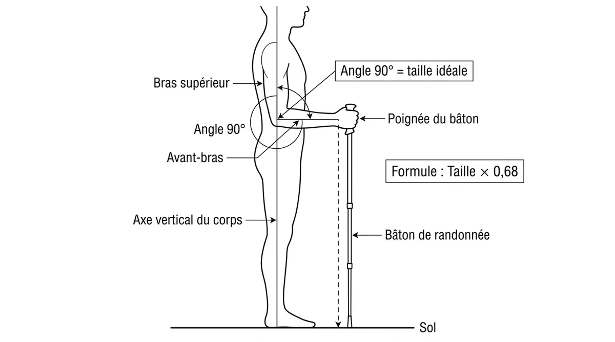 Schéma technique angle 90 degrés pour choisir taille bâtons marche nordique