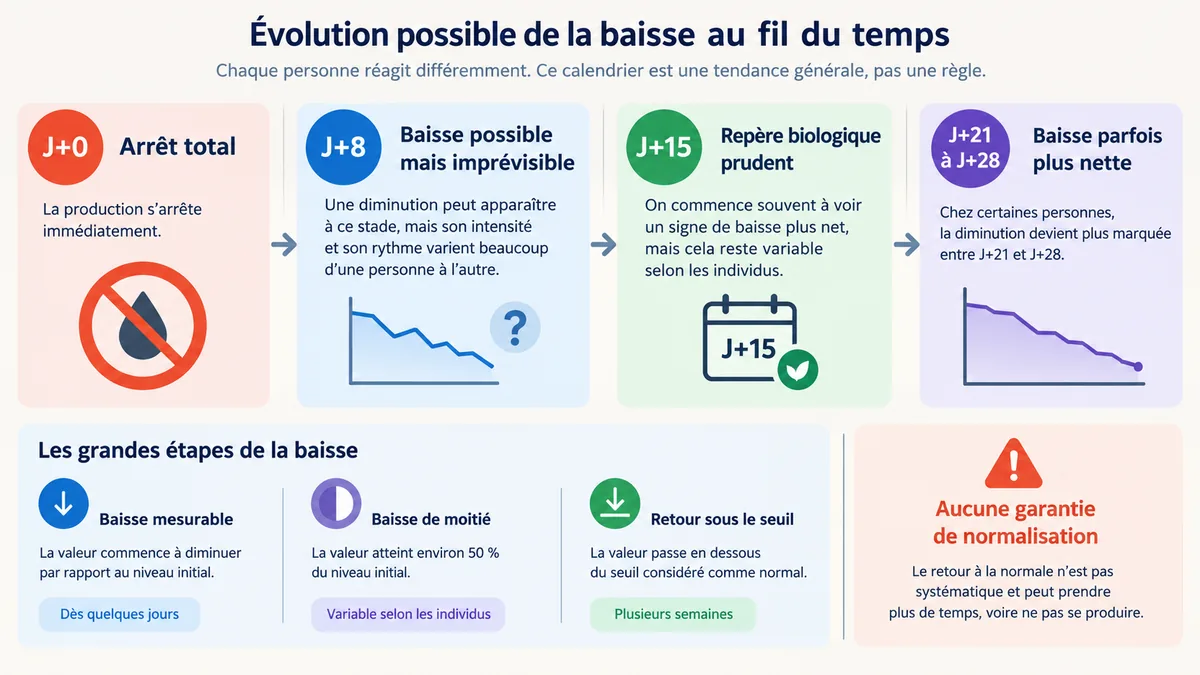 Calendrier visuel de baisse progressive de la CDT après abstinence