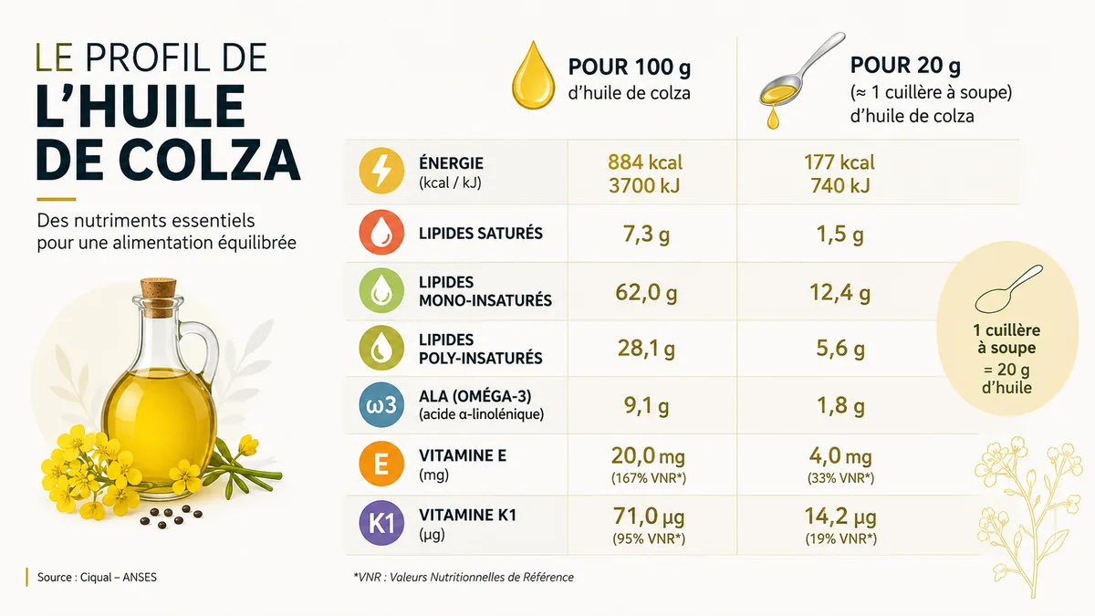 Profil nutritionnel de l'huile de colza en infographie